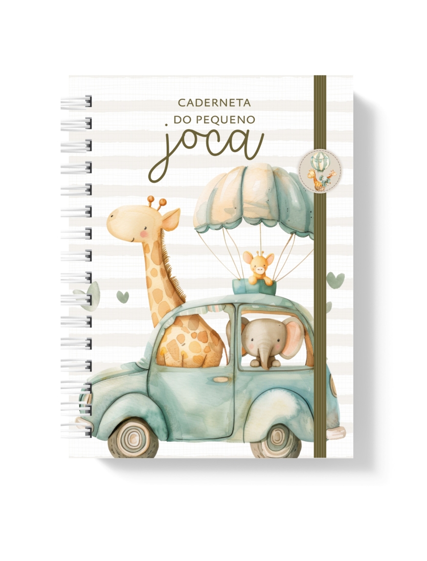 CADERNETA DE SAÚDE - AMIGOS DO JOCA