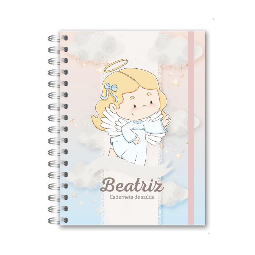 CADERNETA DE SAÚDE - ANJO MENINA (2)