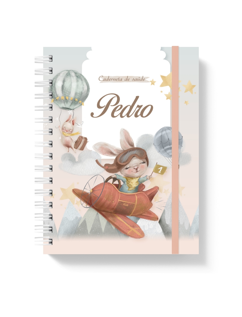 CADERNETA DE SAÚDE - AVENTURA NO CÉU