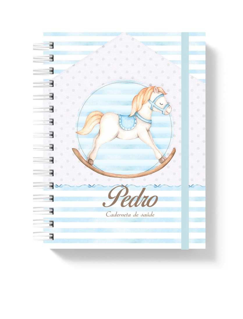 CADERNETA DE SAÚDE - CAVALINHO MENINO