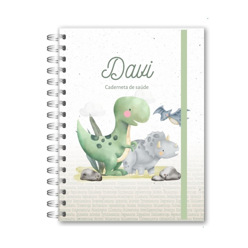 CADERNETA DE SAÚDE - DINOSSAUROS (3)