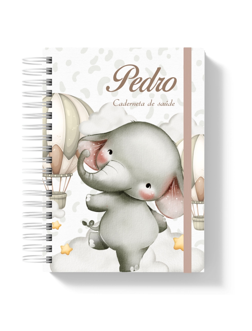 CADERNETA DE SAÚDE - ELEFANTINHO BALOEIRO