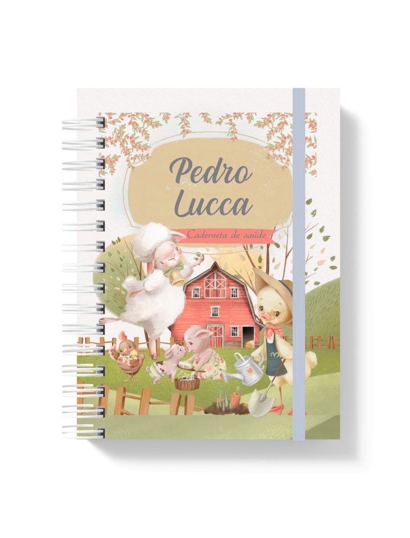 CADERNETA DE SAÚDE - FAZENDINHA 2