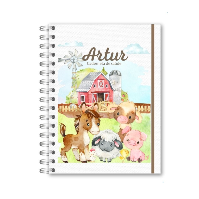 CADERNETA DE SAÚDE - FAZENDINHA