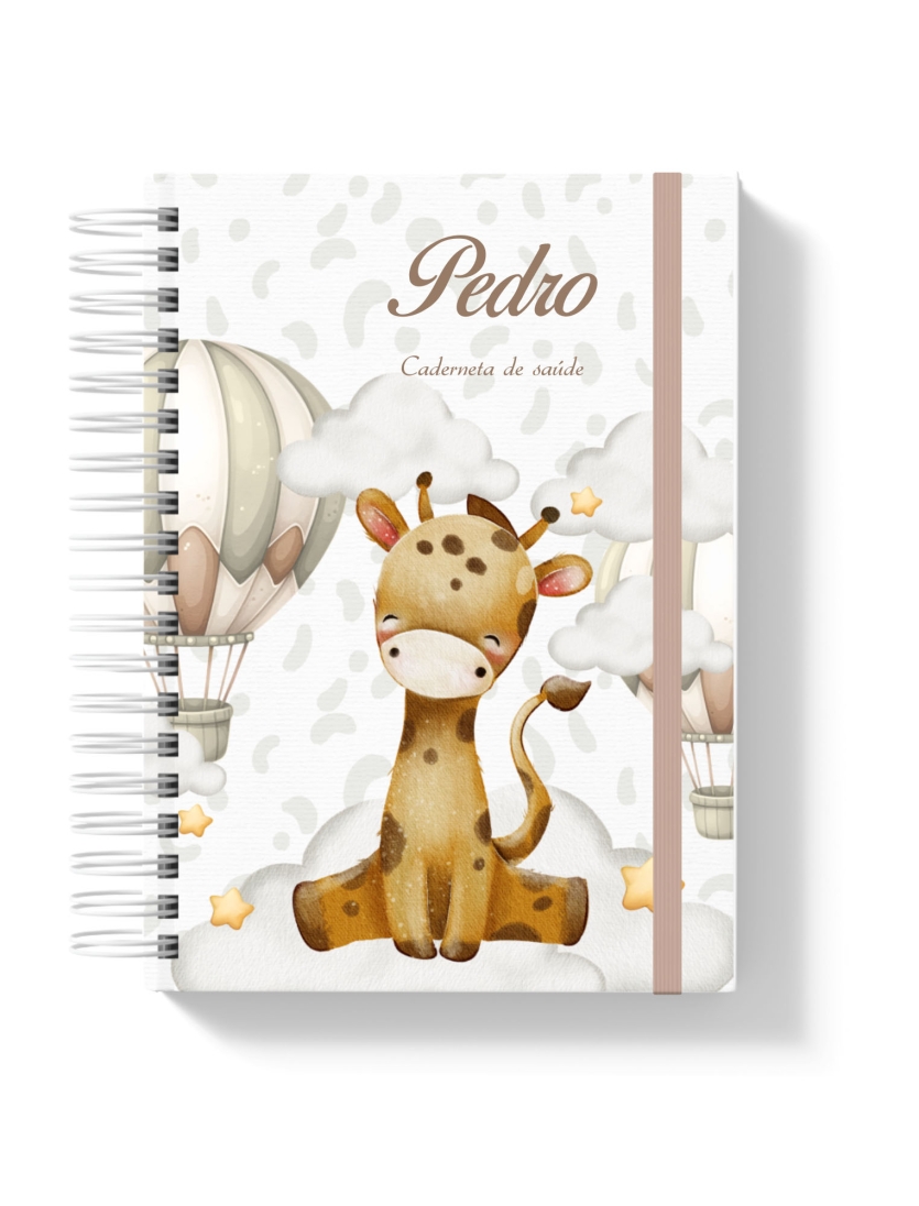 CADERNETA DE SAÚDE - GIRAFINHA BALOEIRO
