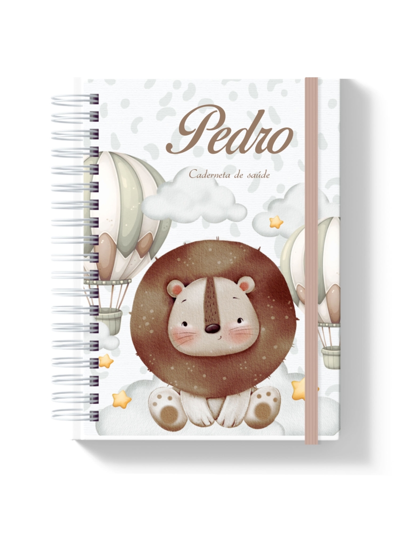 CADERNETA DE SAÚDE - LEÃO BALOEIRO