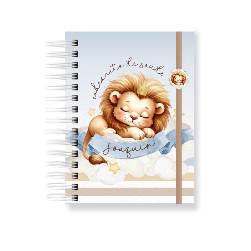 CADERNETA DE SAÚDE - LEÃOZINHO 1