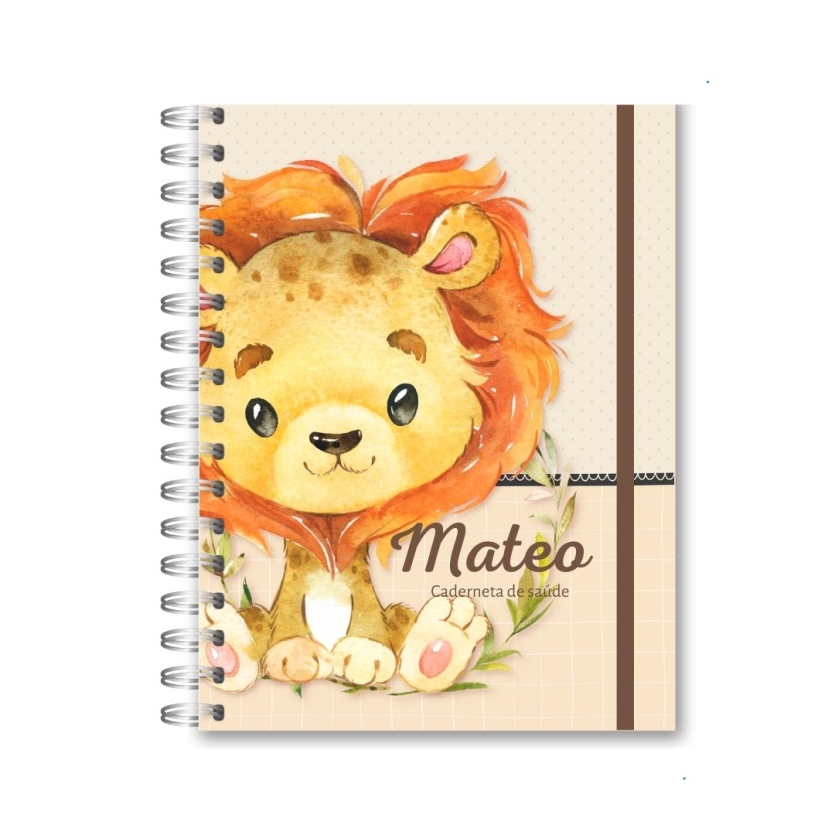 CADERNETA DE SAÚDE - LEÃOZINHO