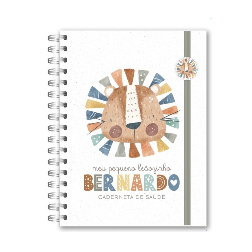 CADERNETA DE SAÚDE -LEÃZINHO