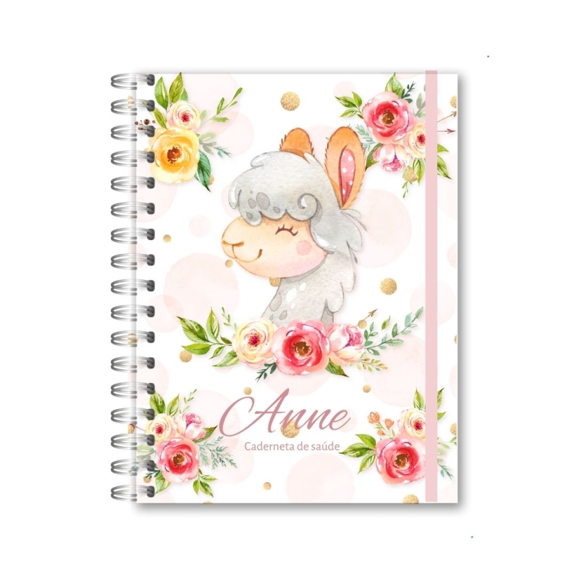 CADERNETA DE SAÚDE - LHAMA MENINA