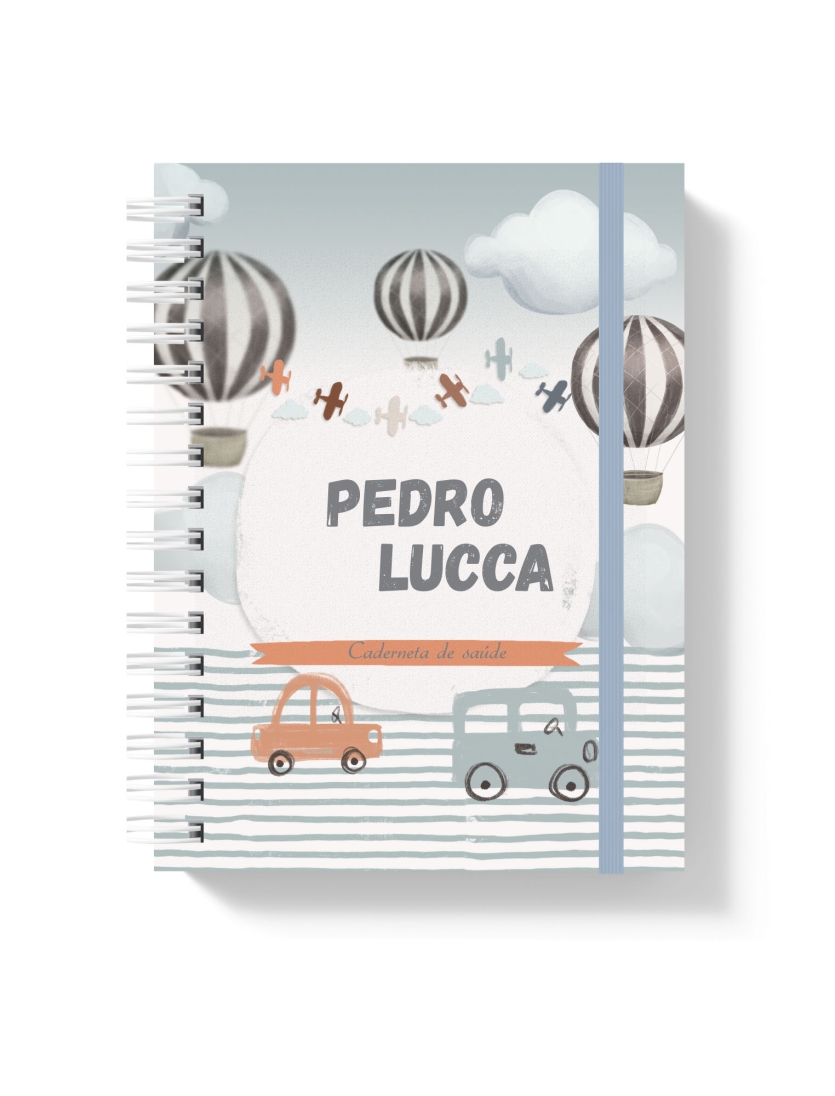 CADERNETA DE SAÚDE - MY LITTLE BOYL