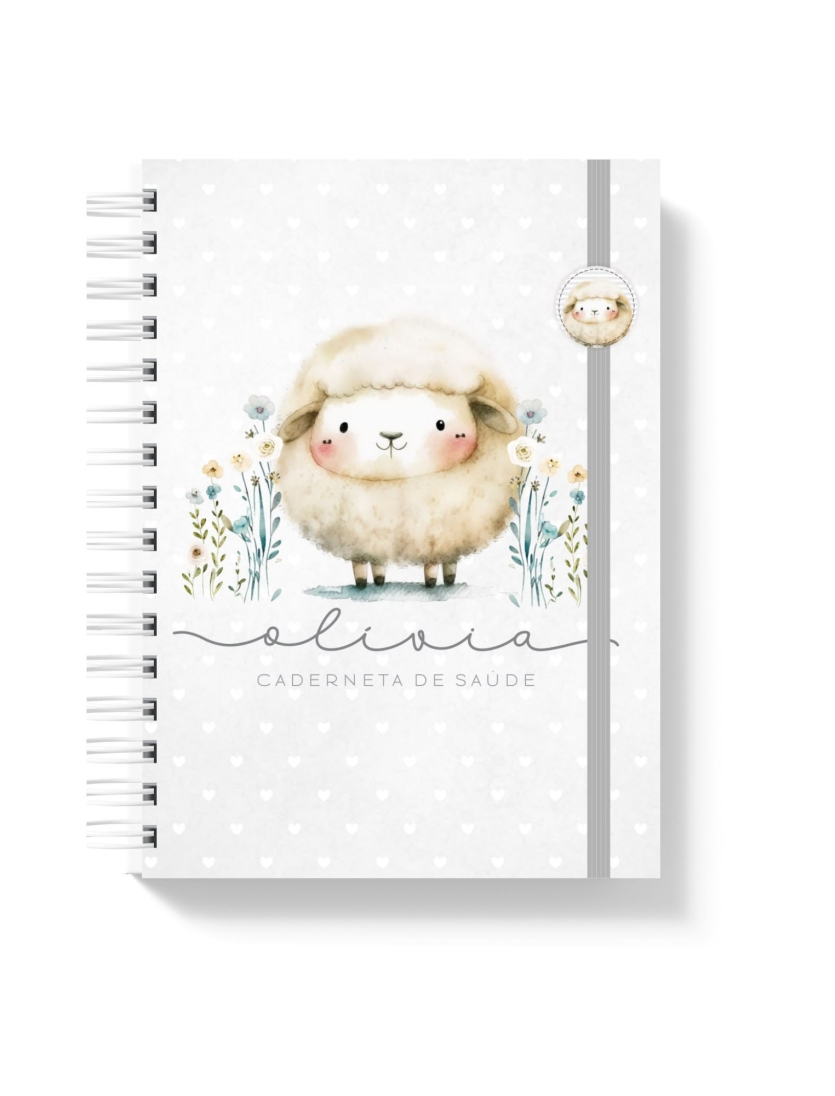 CADERNETA DE SAÚDE - OVELHINHA 2