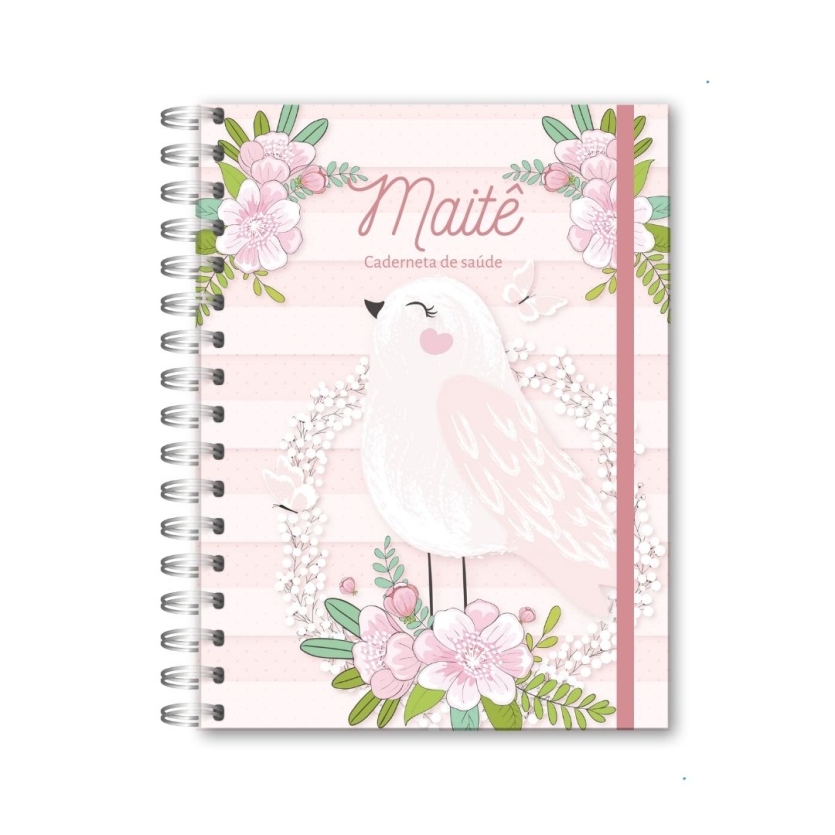 CADERNETA DE SAÚDE - PASSARINHO
