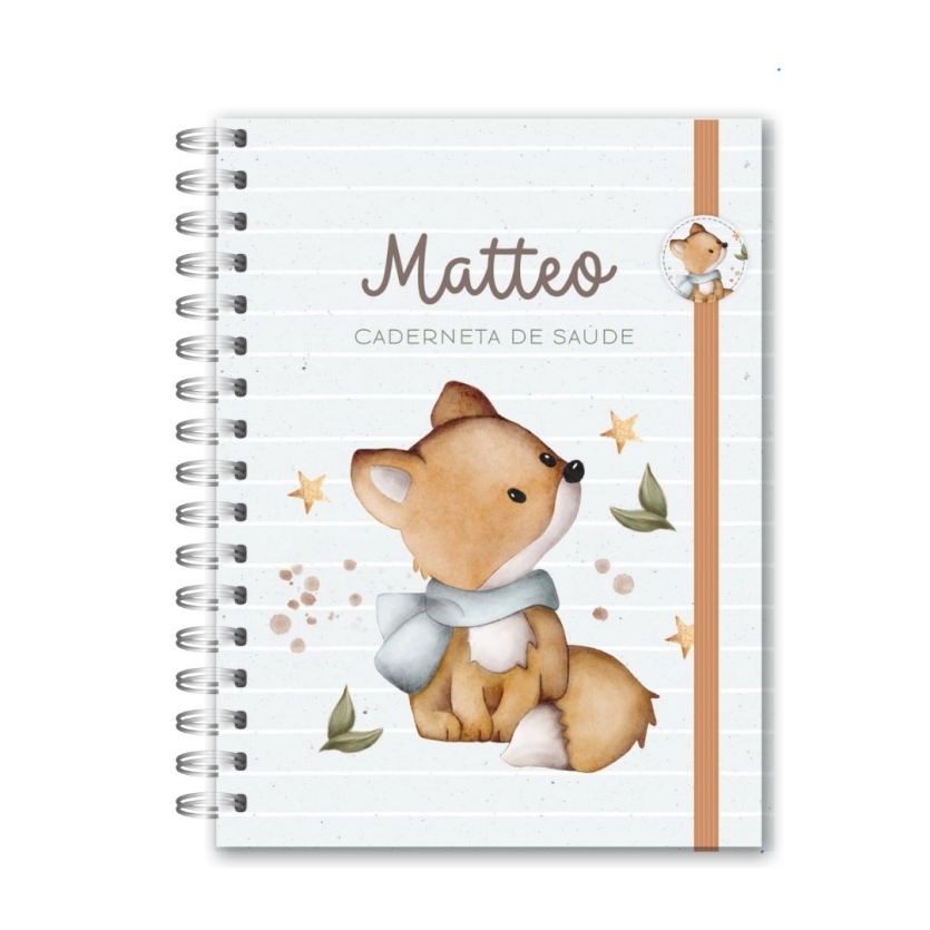 CADERNETA DE SAÚDE - RAPOSINHA (2)
