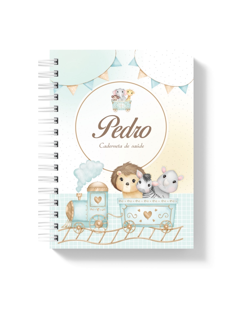 CADERNETA DE SAÚDE - TREM ANIMAIS MENINO