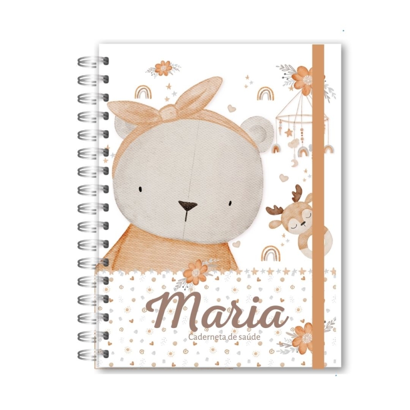 CADERNETA DE SAÚDE - URSINHA E BRINQUEDOS