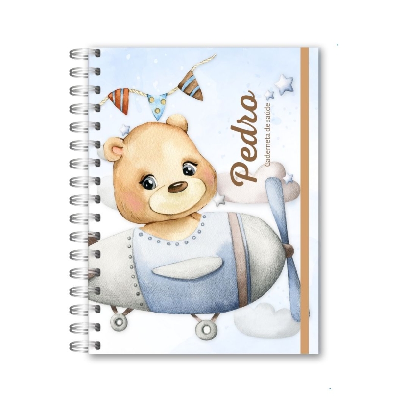 CADERNETA DE SAÚDE - URSINHO AVIADOR (2)