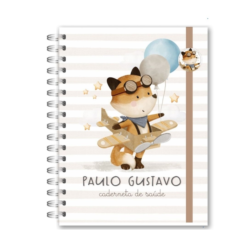 CADERNETA DE SAÚDE - URSINHO AVIADOR (3)