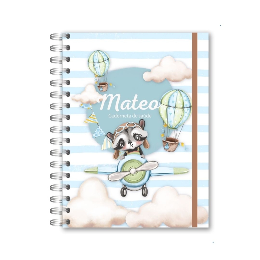 CADERNETA DE SAÚDE - URSINHO AVIADOR
