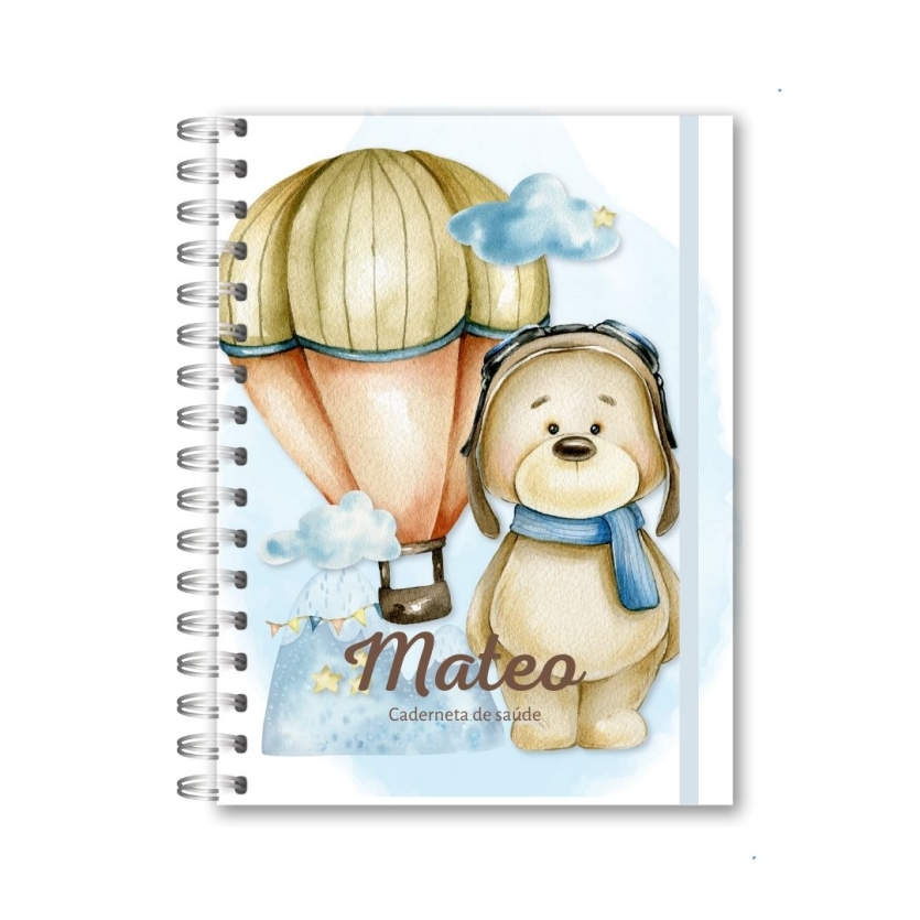 CADERNETA DE SAÚDE - URSINHO BALOEIRO