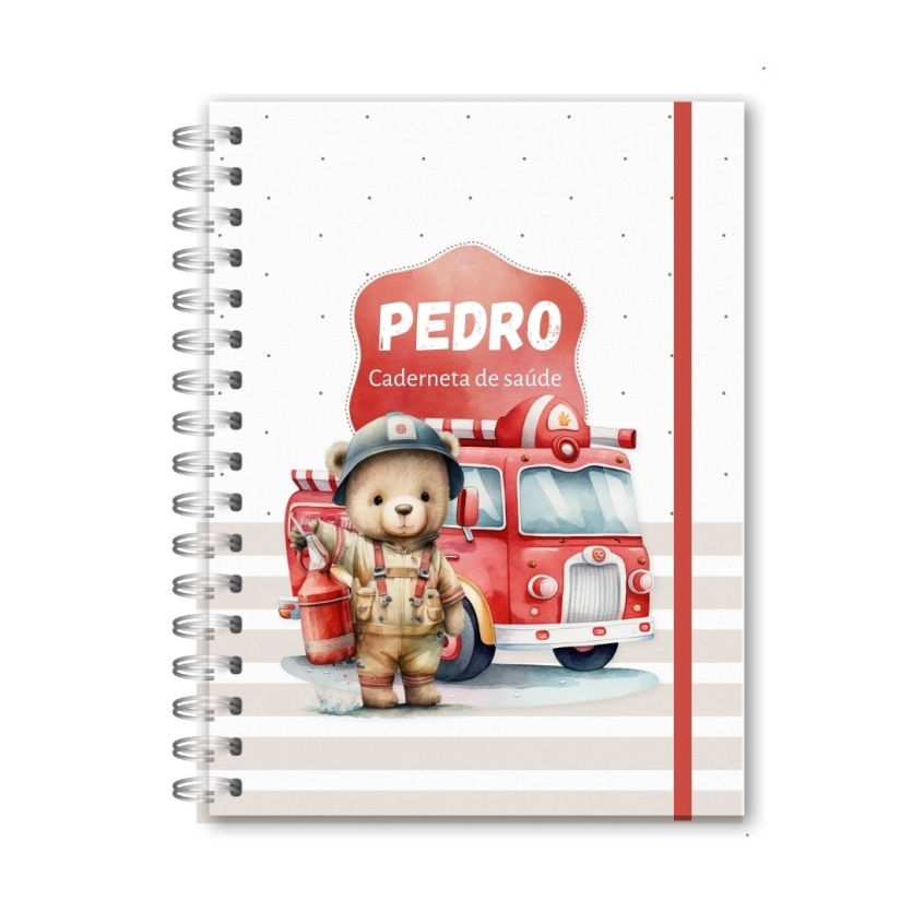 CADERNETA DE SAÚDE - URSINHO BOMBEIRO