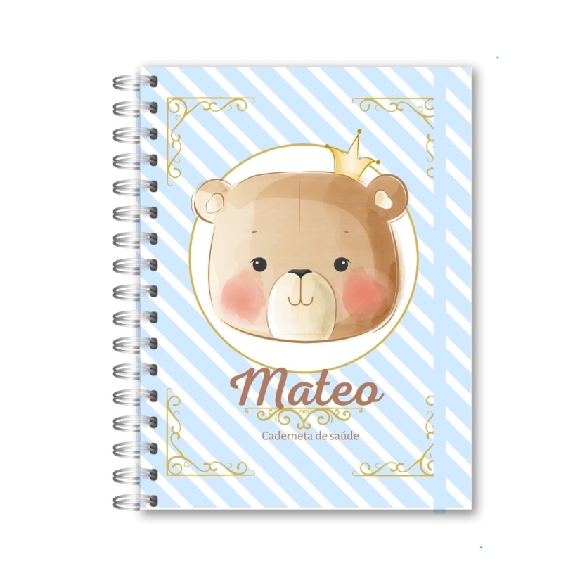 CADERNETA DE SAÚDE - URSINHO PRINCIPE